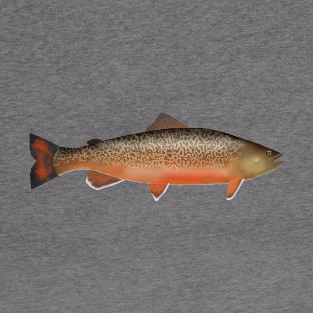 Tiger Trout by FishFolkArt